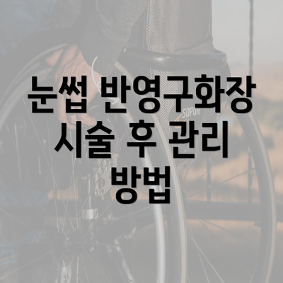 눈썹 반영구화장 시술 후 관리 방법