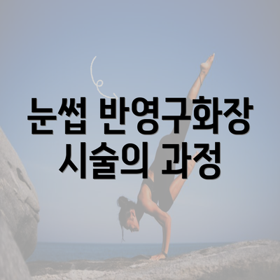 눈썹 반영구화장 시술의 과정