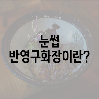 눈썹 반영구화장이란?