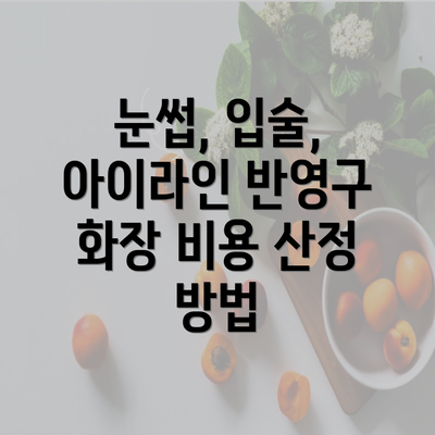 눈썹, 입술, 아이라인 반영구 화장 비용 산정 방법