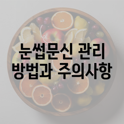 눈썹문신 관리 방법과 주의사항