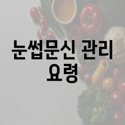 눈썹문신 관리 요령