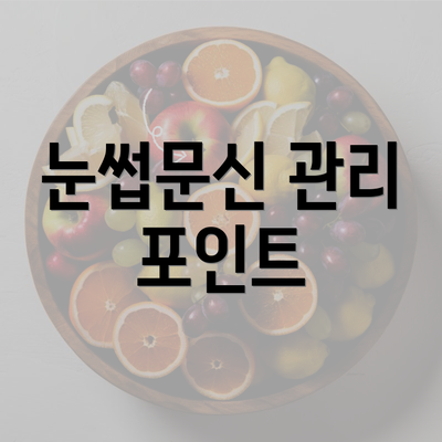 눈썹문신 관리 포인트