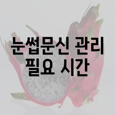 눈썹문신 관리 필요 시간