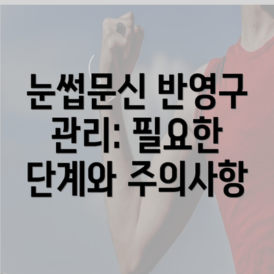 눈썹문신 반영구 관리: 필요한 단계와 주의사항