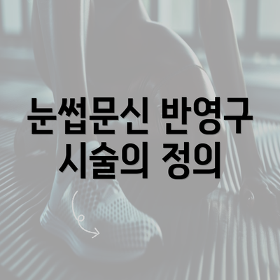 눈썹문신 반영구 시술의 정의