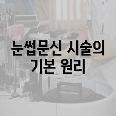 눈썹문신 시술의 기본 원리