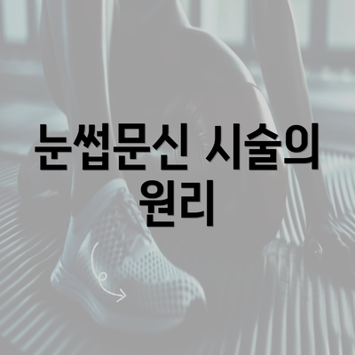 눈썹문신 시술의 원리