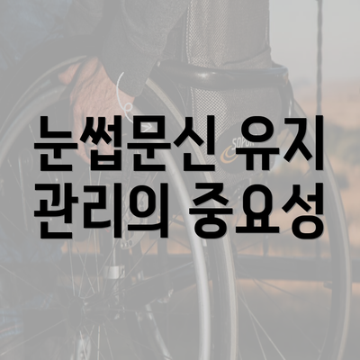 눈썹문신 유지 관리의 중요성