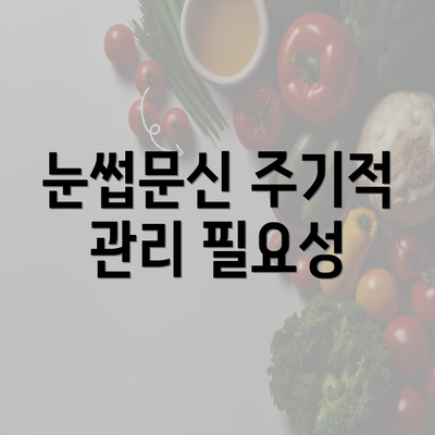 눈썹문신 주기적 관리 필요성