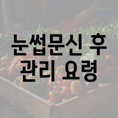 눈썹문신 후 관리 요령