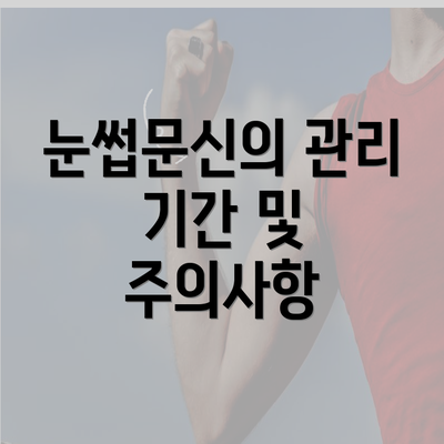 눈썹문신의 관리 기간 및 주의사항