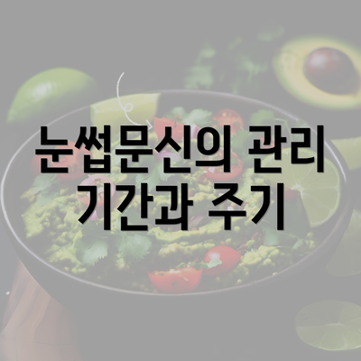 눈썹문신의 관리 기간과 주기