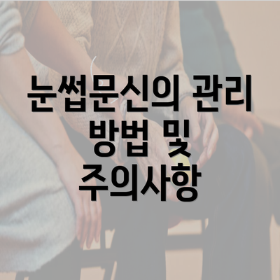 눈썹문신의 관리 방법 및 주의사항