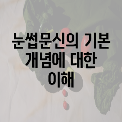 눈썹문신의 기본 개념에 대한 이해