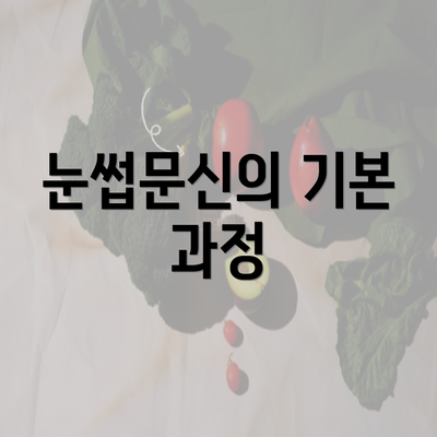 눈썹문신의 기본 과정