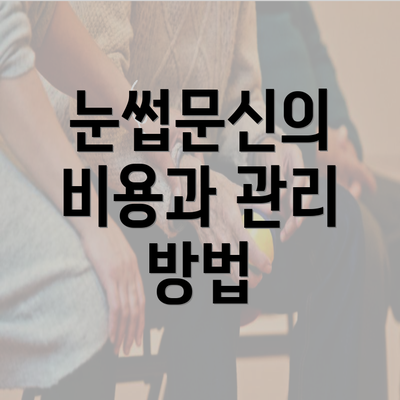 눈썹문신의 비용과 관리 방법