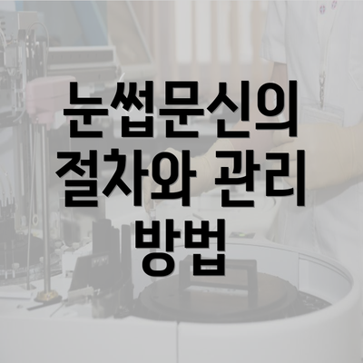 눈썹문신의 절차와 관리 방법