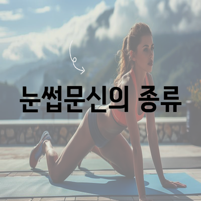 눈썹문신의 종류