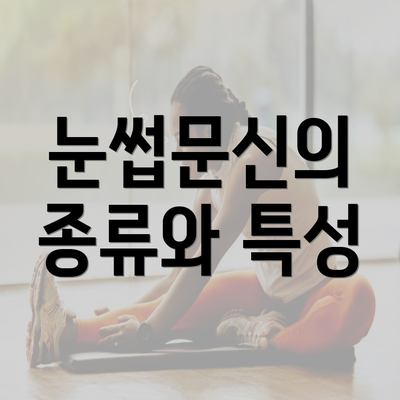 눈썹문신의 종류와 특성