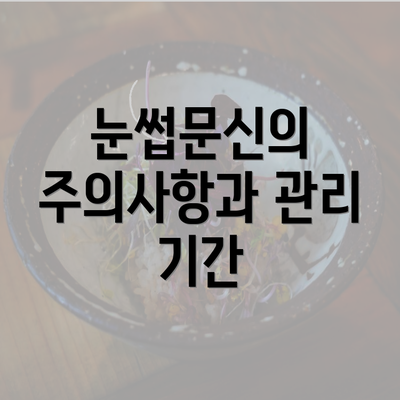 눈썹문신의 주의사항과 관리 기간