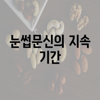 눈썹문신의 지속 기간