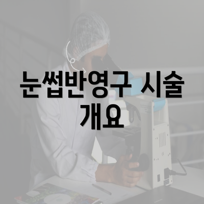 눈썹반영구 시술 개요