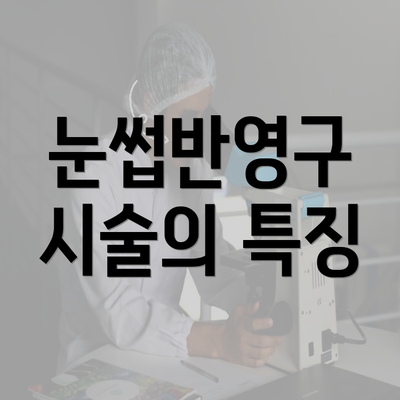 눈썹반영구 시술의 특징