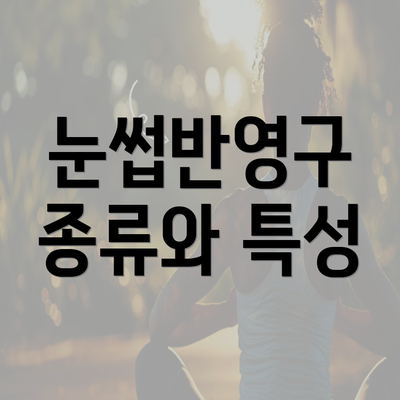 눈썹반영구 종류와 특성