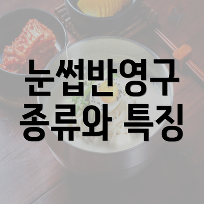 눈썹반영구 종류와 특징