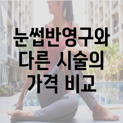 눈썹반영구와 다른 시술의 가격 비교