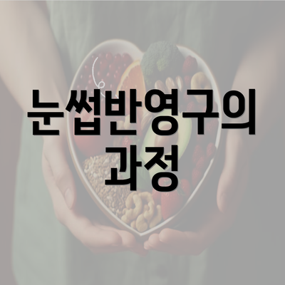 눈썹반영구의 과정