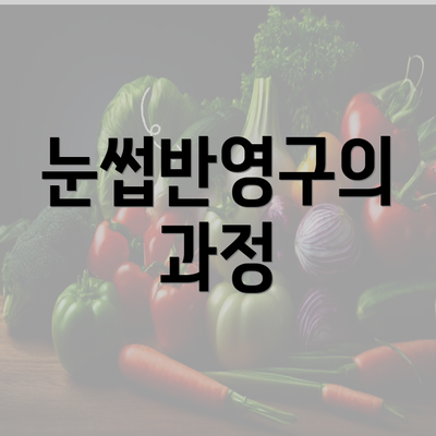 눈썹반영구의 과정