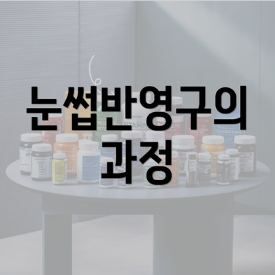 눈썹반영구의 과정