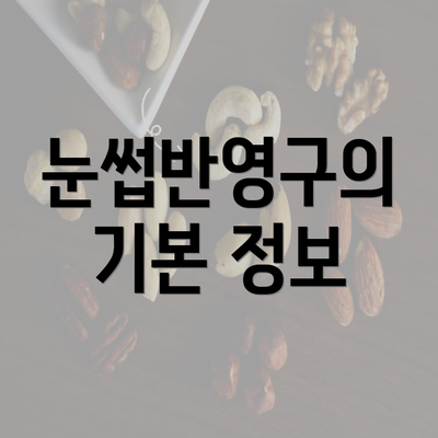 눈썹반영구의 기본 정보