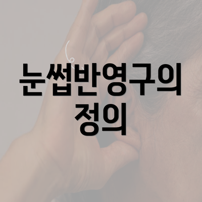 눈썹반영구의 정의