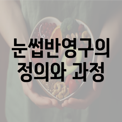 눈썹반영구의 정의와 과정