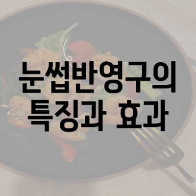 눈썹반영구의 특징과 효과