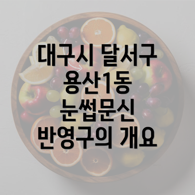 대구시 달서구 용산1동 눈썹문신 반영구의 개요