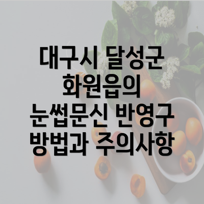 대구시 달성군 화원읍의 눈썹문신 반영구 방법과 주의사항