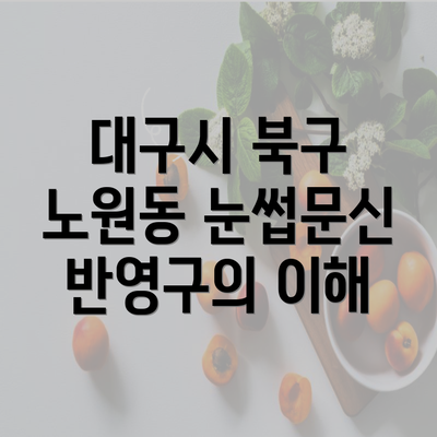 대구시 북구 노원동 눈썹문신 반영구의 이해