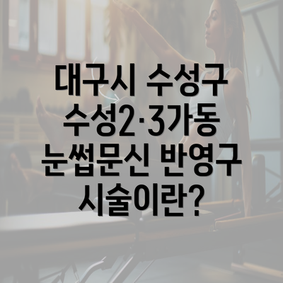 대구시 수성구 수성2·3가동 눈썹문신 반영구 시술이란?