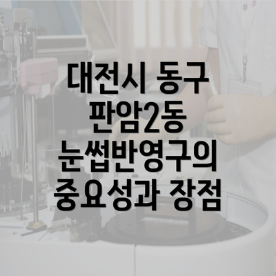 대전시 동구 판암2동 눈썹반영구의 중요성과 장점