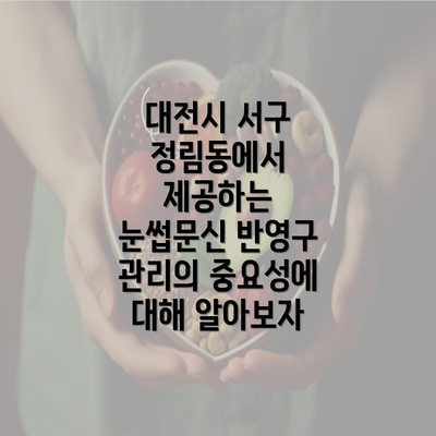 대전시 서구 정림동에서 제공하는 눈썹문신 반영구 관리의 중요성에 대해 알아보자