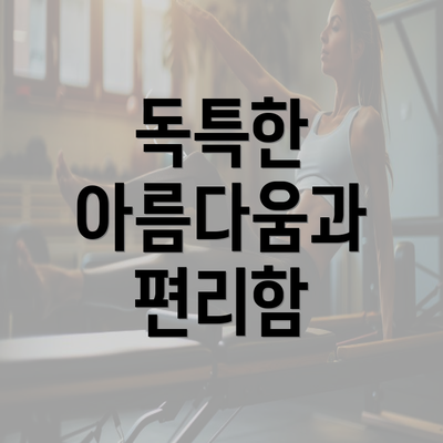 독특한 아름다움과 편리함