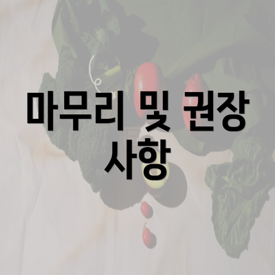 마무리 및 권장 사항