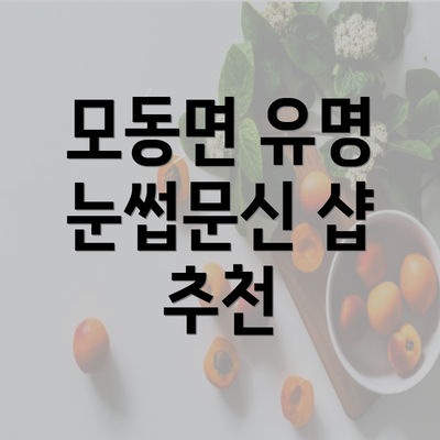 모동면 유명 눈썹문신 샵 추천