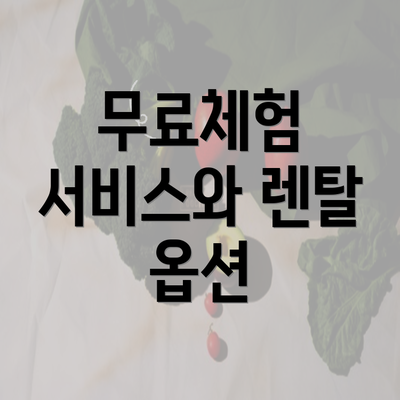 무료체험 서비스와 렌탈 옵션