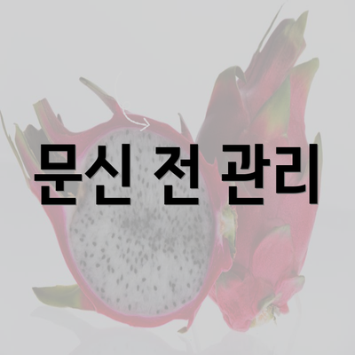 문신 전 관리