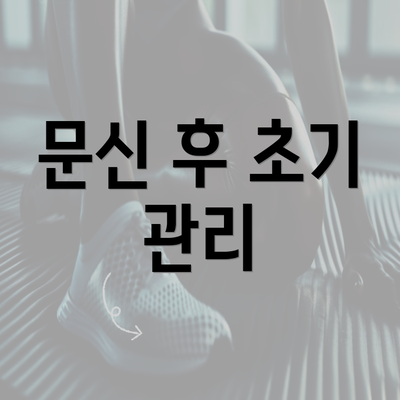 문신 후 초기 관리